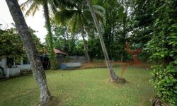 Holland Avenue (D10), Detached #514174731
